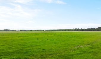 91801 U. S. Highway 98, Beaumont, MS 39423