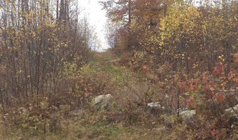 Hallowed View Drive, Berlin, NH 03570