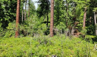 Smugglers Ln Tract A E, Bonners Ferry, ID 83805
