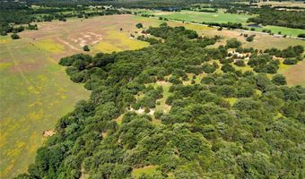 160 Ac FM 1655, Alvord, TX 76225