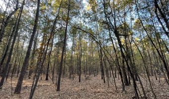 0 E 1912 Rd, Antlers, OK 74523