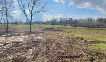 Lot 3 Thomas Twin Oaks Road, Baxter, TN 38544