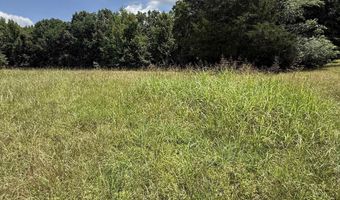 OLD FERRY Rd, Bath Springs, TN 38311