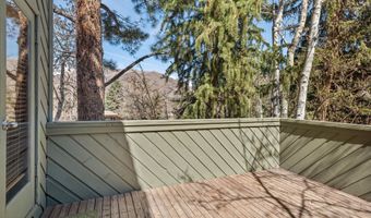125 E Hyman Ave 1A, Aspen, CO 81611