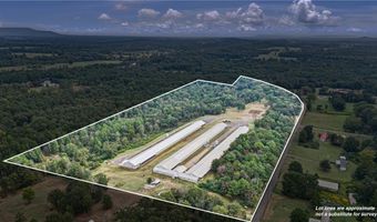 11695 E Old Belleville Rd, Belleville, AR 72824