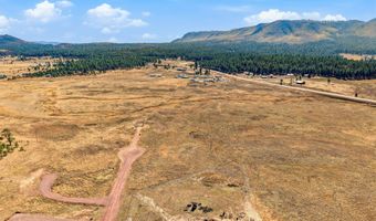 The Ranch at Alpine lot 25, Alpine, AZ 85920