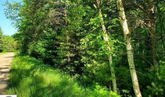 Hillside Drive lot 62, Alger, MI 48610
