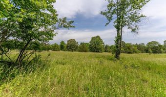 676 County Road 403, Alton, MO 65606