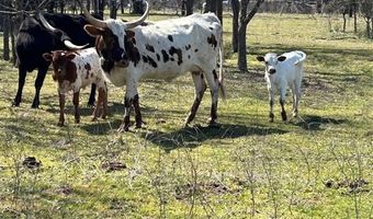 379 FM 80 S, Teague, TX 75860