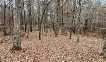 143 Greene Road 610, Beech Grove, AR 72412