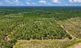 7000 NW 7th Way, Bell, FL 32619
