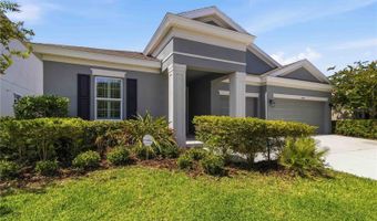 6404 MAIDEN SEA Dr, Apollo Beach, FL 33572