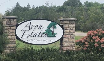 303 Estate Dr, Avon, MN 56310