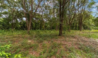 12920 NE 36TH Ave, Anthony, FL 32617