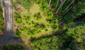 Walsh Ln, Arch Cape, OR 97102