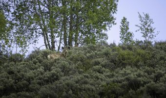 Lot 6 MININGER ROAD, Alpine, WY 83128