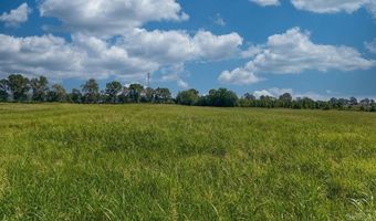 14 31 Acres Highway 463, Bay, AR 72411