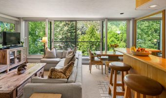 728 S Galena St 202-B, Aspen, CO 81611