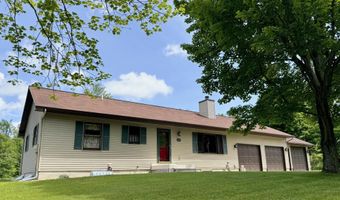 6955 Cedar Rd, Alanson, MI 49706