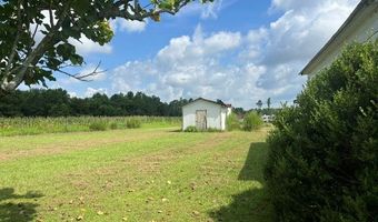 4180 McConnell Bridge Rd, Adel, GA 31620