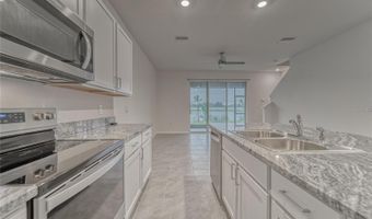 163 MANGROVE SHADE Cir, Apollo Beach, FL 33572