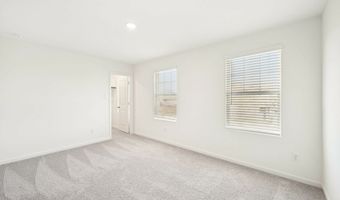 10644 Harlequinn Plan: Discovery, Adkins, TX 78101