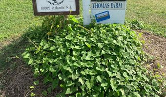10091 ATLANTIC Rd, Atlantic, VA 23303