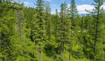 477 Chief Cliff Trl, Bigfork, MT 59911