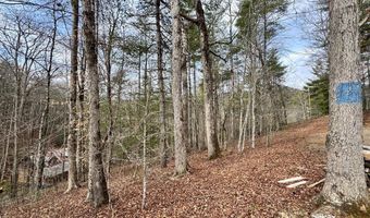Fontana Forest lot 21, Almond, NC 28702