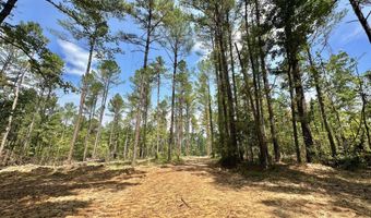 1 Champion Hill Rd, Bolton, MS 39041