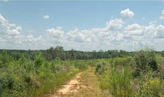 00 Ebenezer Church Rd, Bassfield, MS 39421