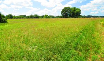 County Road 105, Ava, MO 65608