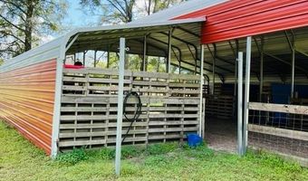 10 SW 50th Ave, Bell, FL 32619