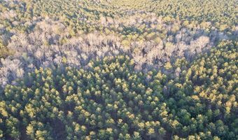 Highway 28, Abbeville, SC 29620