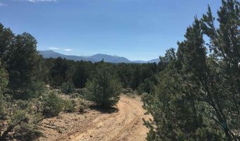 Tract B Spanish Peaks Road, Arroyo Hondo, NM 87513