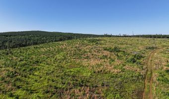 D4289 Road, Antlers, OK 74536