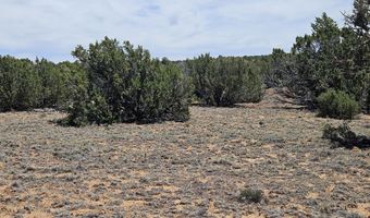 ACR N8388 and N8385, Concho, AZ 85924