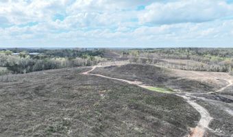 919 County Road 6628, Banks, AL 36005