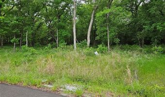 Lot 221 Banjo Court, Alvord, TX 76225