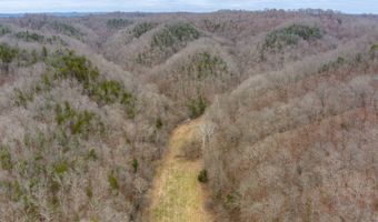 Willis Creek Rd, Albany, KY 42602