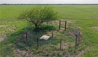 FM 1352, Alice, TX 78332