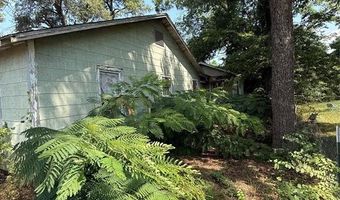 200 Whitworth St, Sulphur Springs, TX 75482
