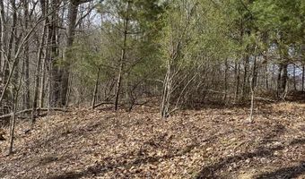 161 Daniels Rd Lot 0, Bandy, VA 24602