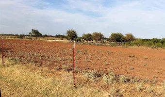 W CLINTON STREET, Archer City, TX 76351
