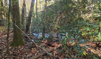 Lords Way, Andrews, NC 28901