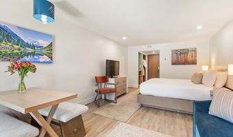 38750 Hwy 82 1109, Aspen, CO 81611