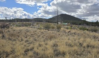 Partin Drive 19, Beatty, OR 97621