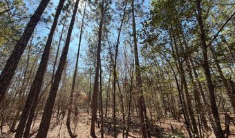 Bhl 10 Boise Cascade Bhl 10, Bethune, SC 29009