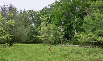 V/L Roseburgh, Alger, MI 48610