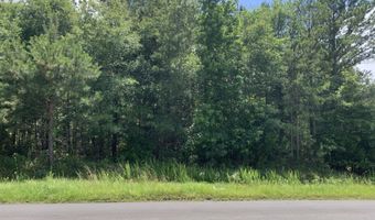 Na Metasville Road, Lincolnton, GA 30817